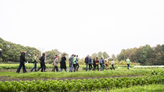 Rondleiding en diner duurzame groenteteelt landelijke Demodag