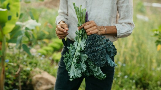 Kraaybeekerhof: Opleiding Natuurvoedingskunde