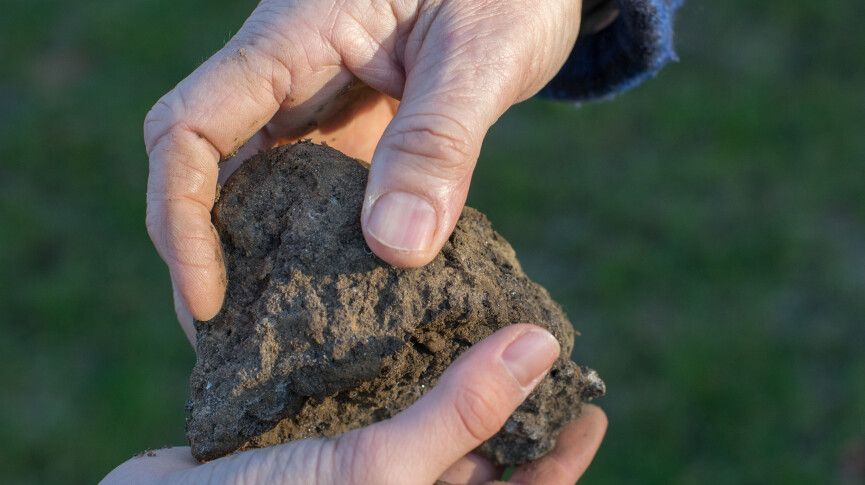 29-5: Startersdag Biologische Landbouw