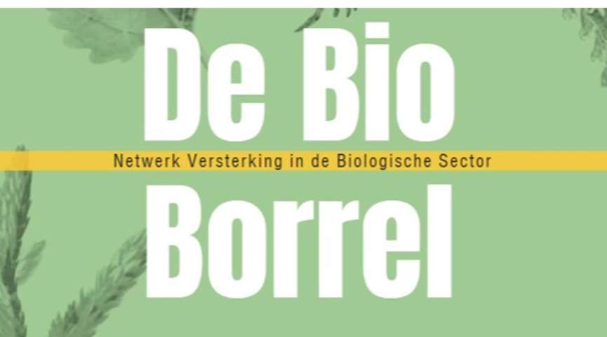 16-9: Bioborrel