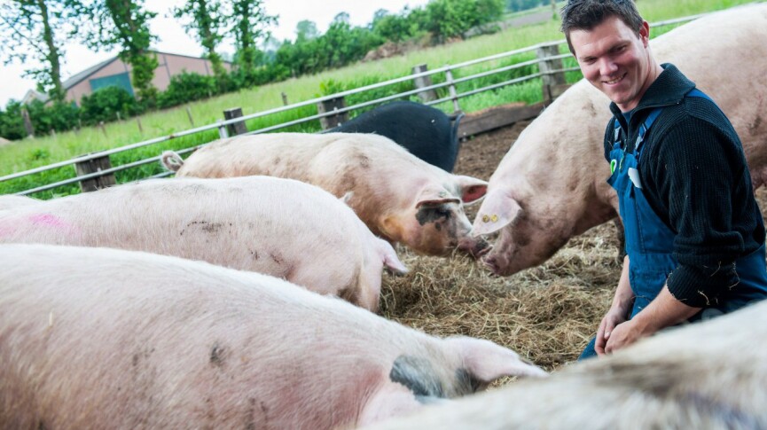 BioPodcast: Biologische varkens van Boer Bas