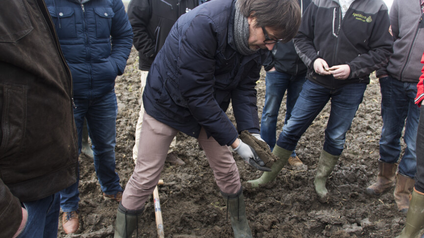 Omschakeling akkerbouw/groenteteelt