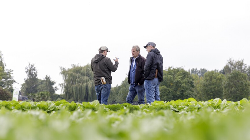 Rijk Zwaan demoweken Fijnaart 17.09.2018 - 26.10.2018