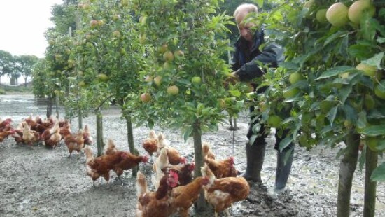 Agroforestry en voedselbossen voor boeren