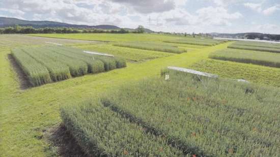 28. Biodynamisch: Impact op bodem, klimaat en gezondheid