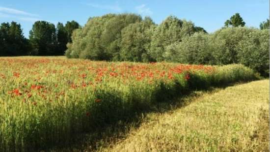 Cross Visit Arable in Idanha-a-Nova, Portugal