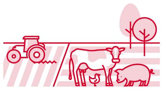 19. Omschakelen: kan het sneller?