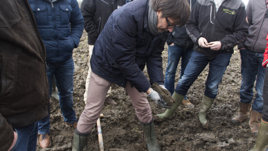 Omschakeling akkerbouw/groenteteelt