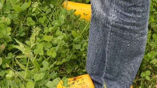 Online startersuurtje 