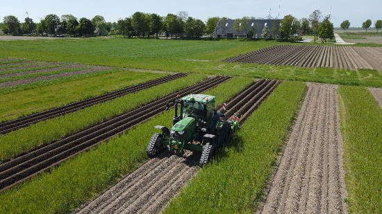 Strokenteelt met Crop Mix / Agroecology TRANSECT