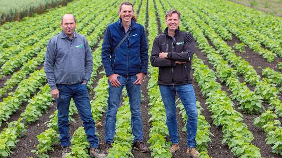 Training Strokenteelt regio Flevoland