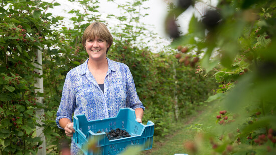 Telers voor Telers --- Duocoach Fruitteelt
