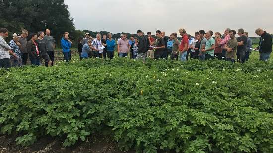 Veldexcursie: Robuuste aardappelrassen