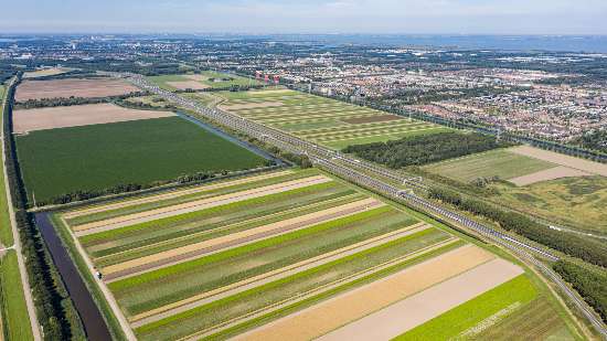 Veldexcursie strokenteelt
