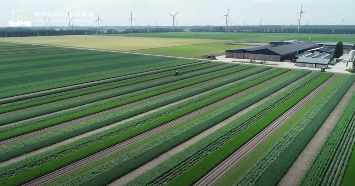 Boerderij van de toekomst - BioAcademy