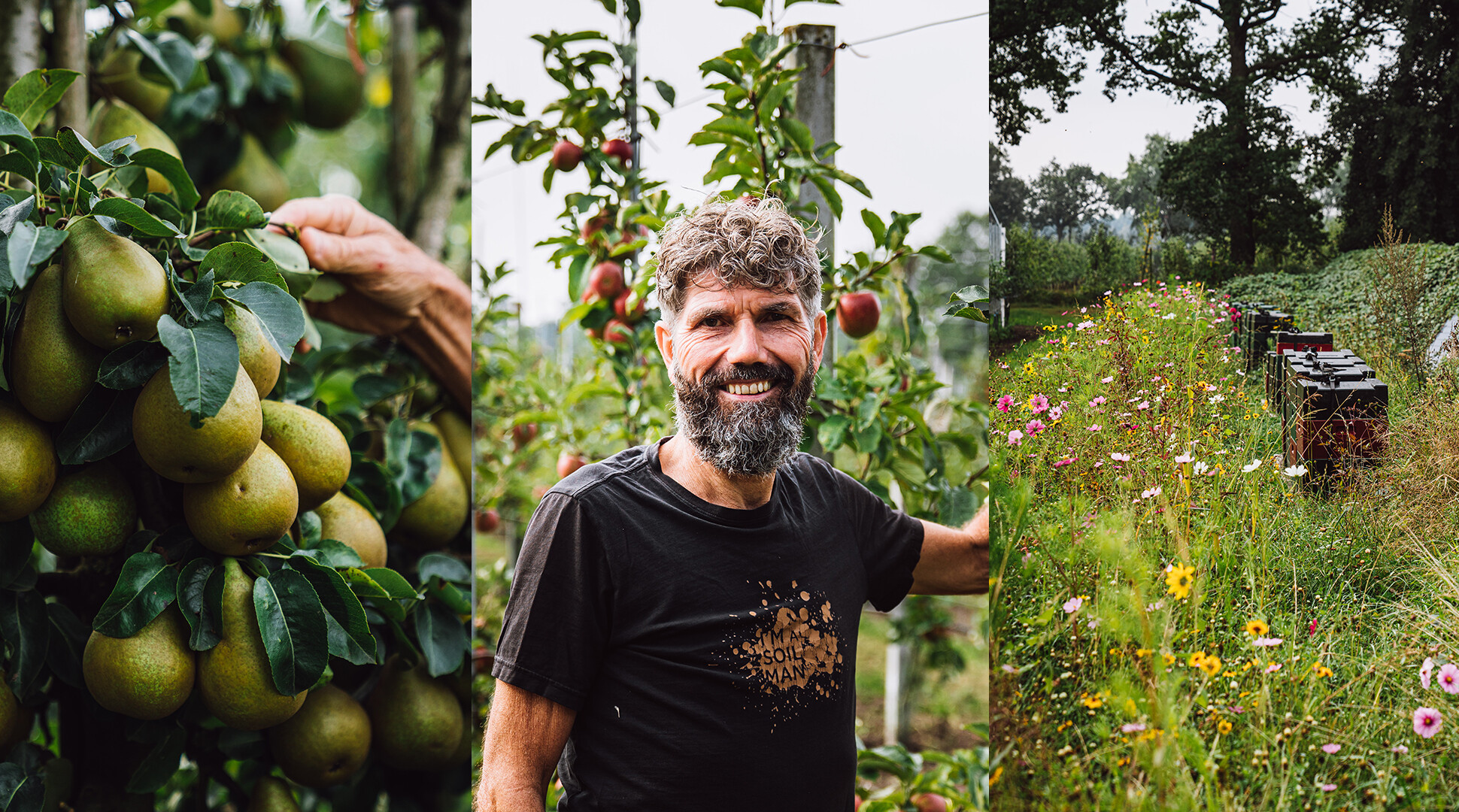 Biodynamische fruitteler Harrie van den Elzen: “Ik dacht ik ga het gewoon proberen”