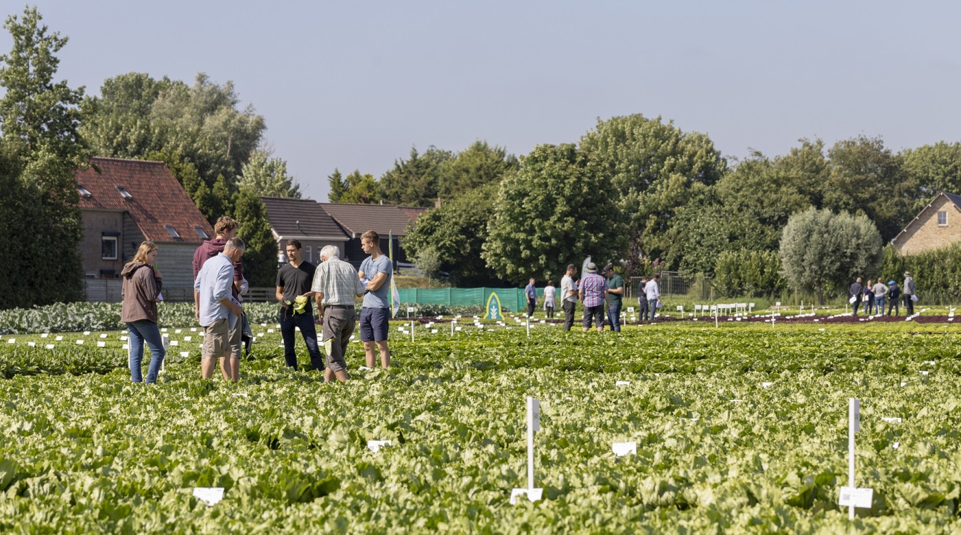 De demodagen in Fijnaart gaan van start: 17 juni t/m 5 juli