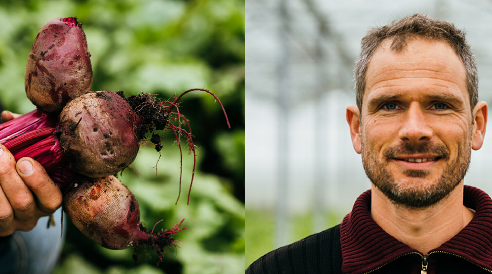 Joris teelt de lekkerste groenten en kruiden