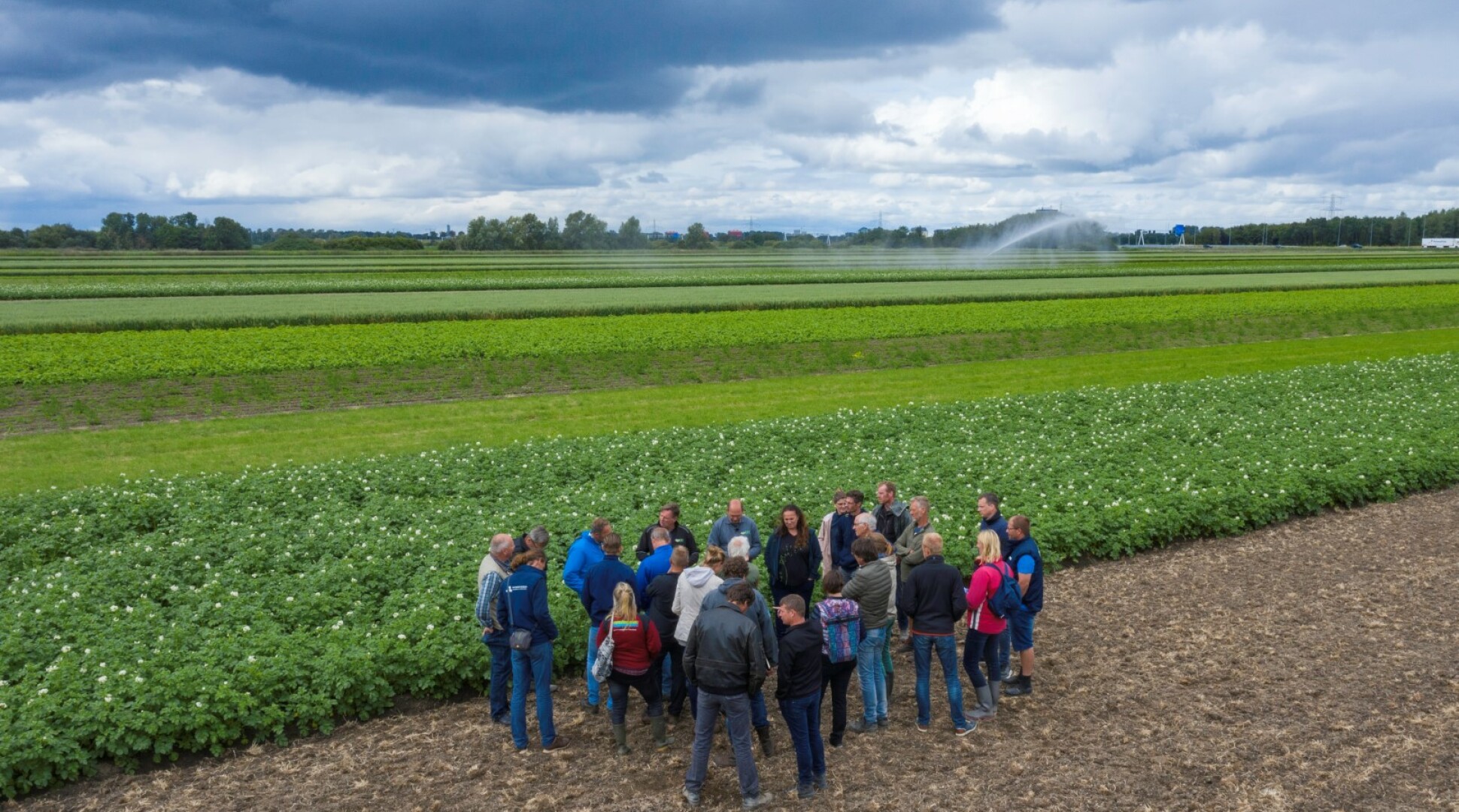 Masterclass Strokenteelt inspireert tot samenwerking innovatieve boeren