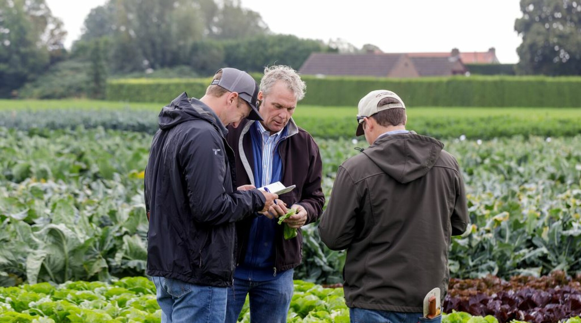 Speciale bio-route tijdens Rijk Zwaan demodagen