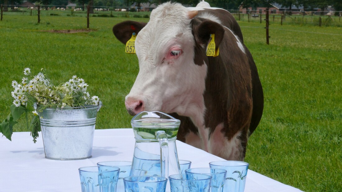 Bio Academy organiseert kennisdag