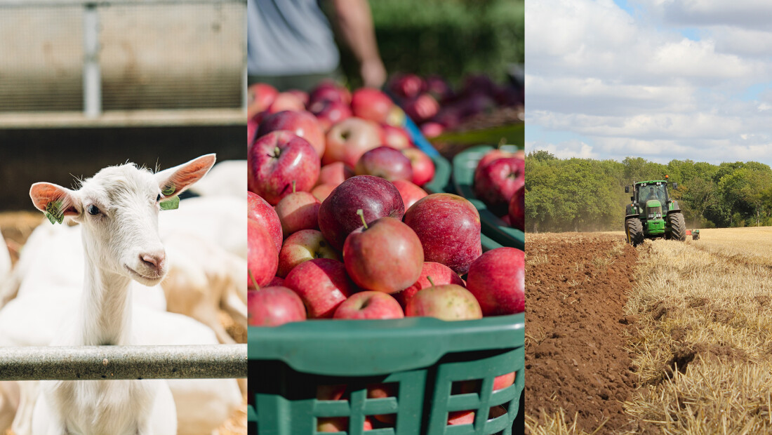 De waarden van biologisch