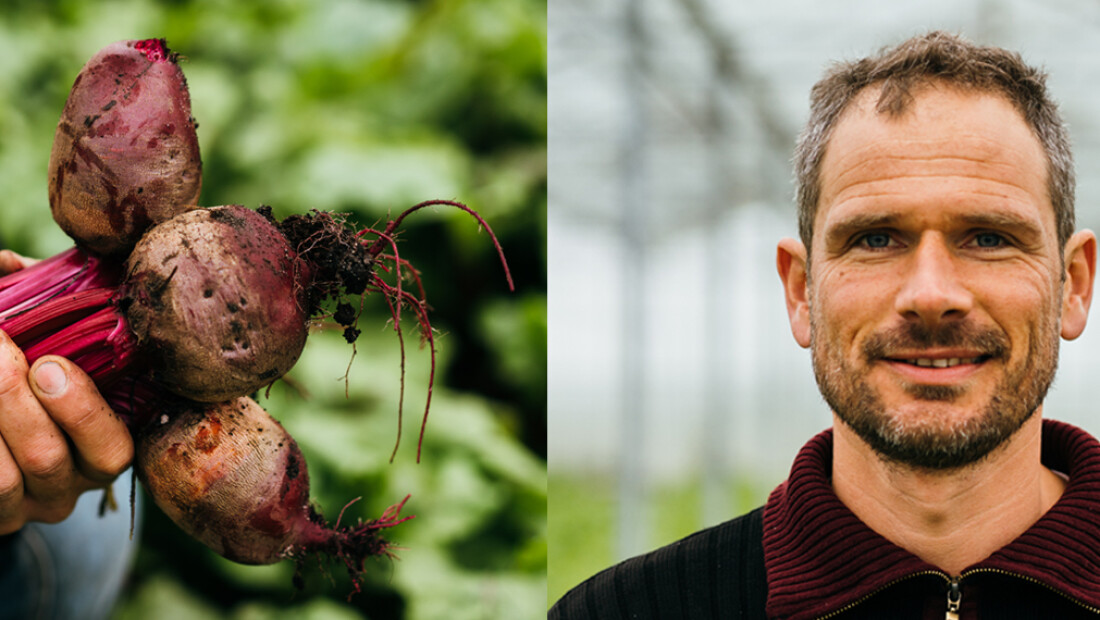 Joris teelt de lekkerste groenten en kruiden