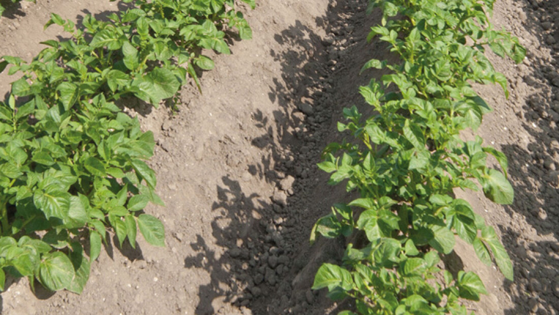 Kennisvideo's biologische akkerbouw