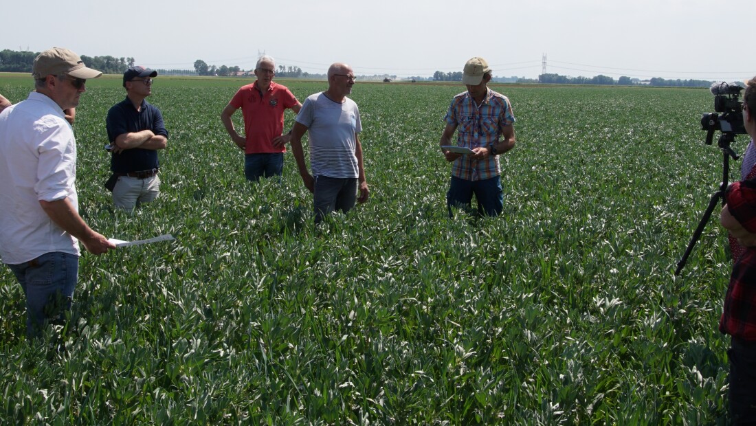 Meer kringloop met eigen voer uit mengteelt