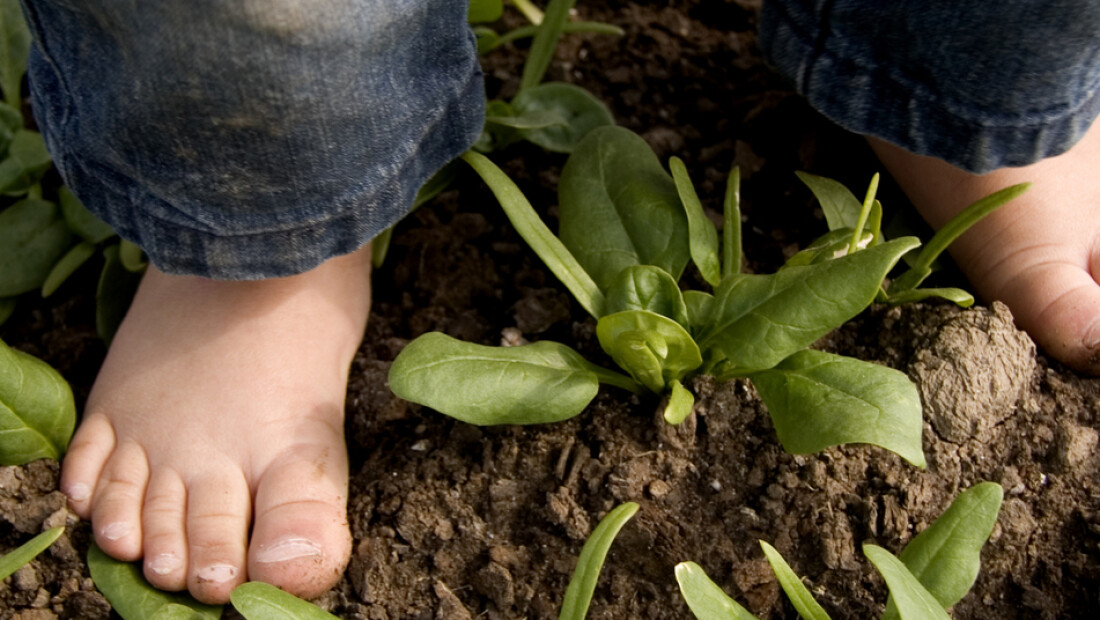 Past Biodynamisch bij jou als persoon en bij jouw bedrijf?