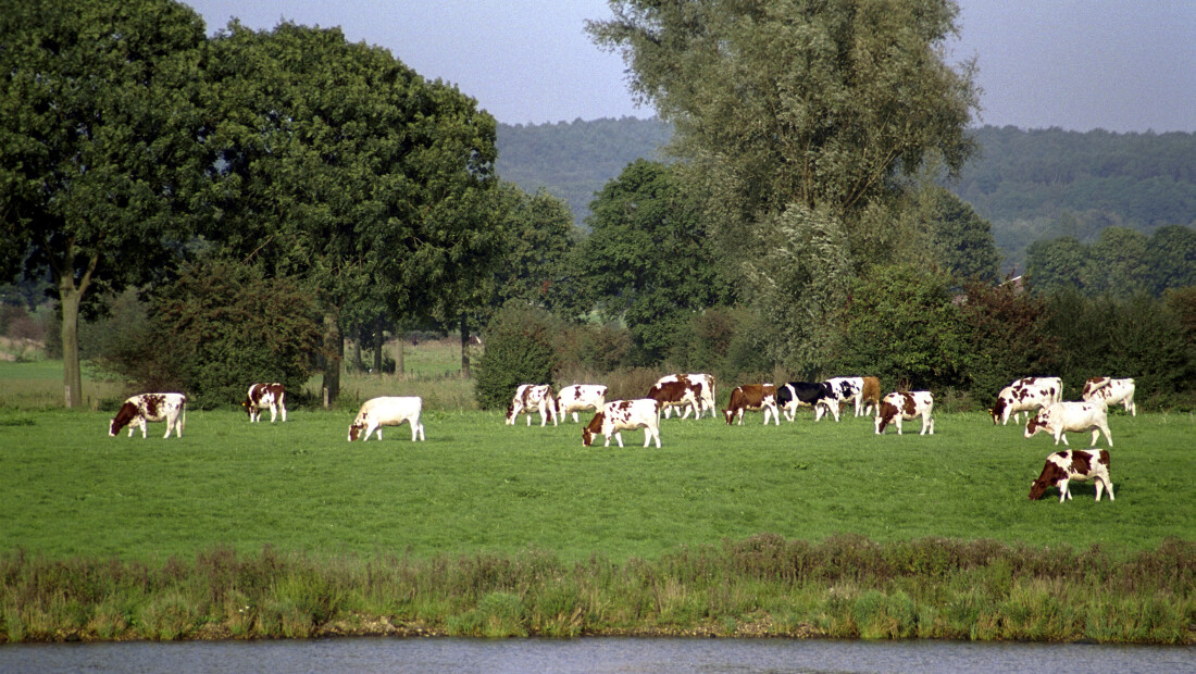 Persbericht: Analyse dossier RTL Nieuws