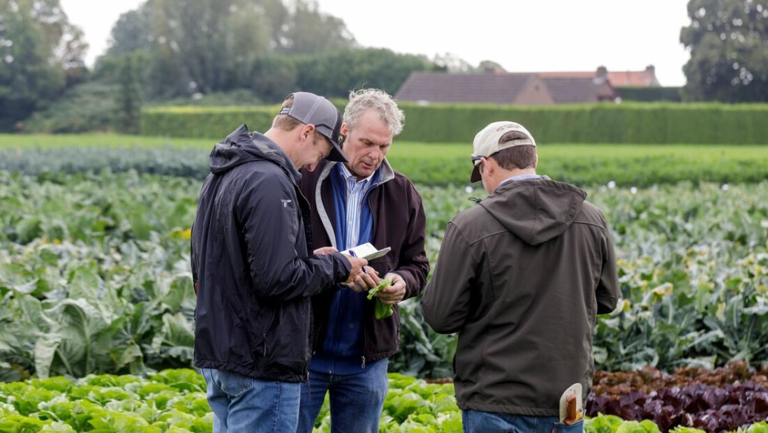 Speciale bio-route tijdens Rijk Zwaan demodagen