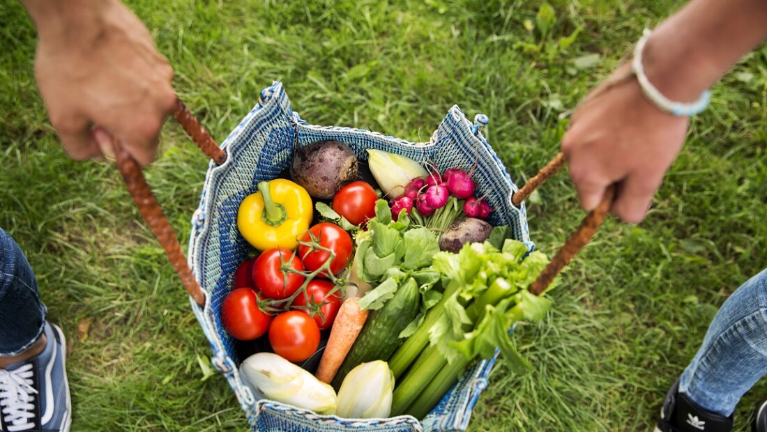 Videoboodschap: Complimenten voor de voedselketen