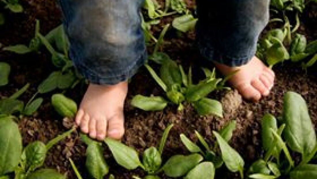 Waarheen leidt het coronavirus ons?