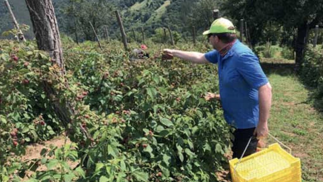 Zoek de verbinding in de foodketen