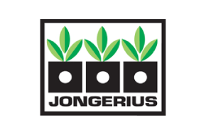Jongerius