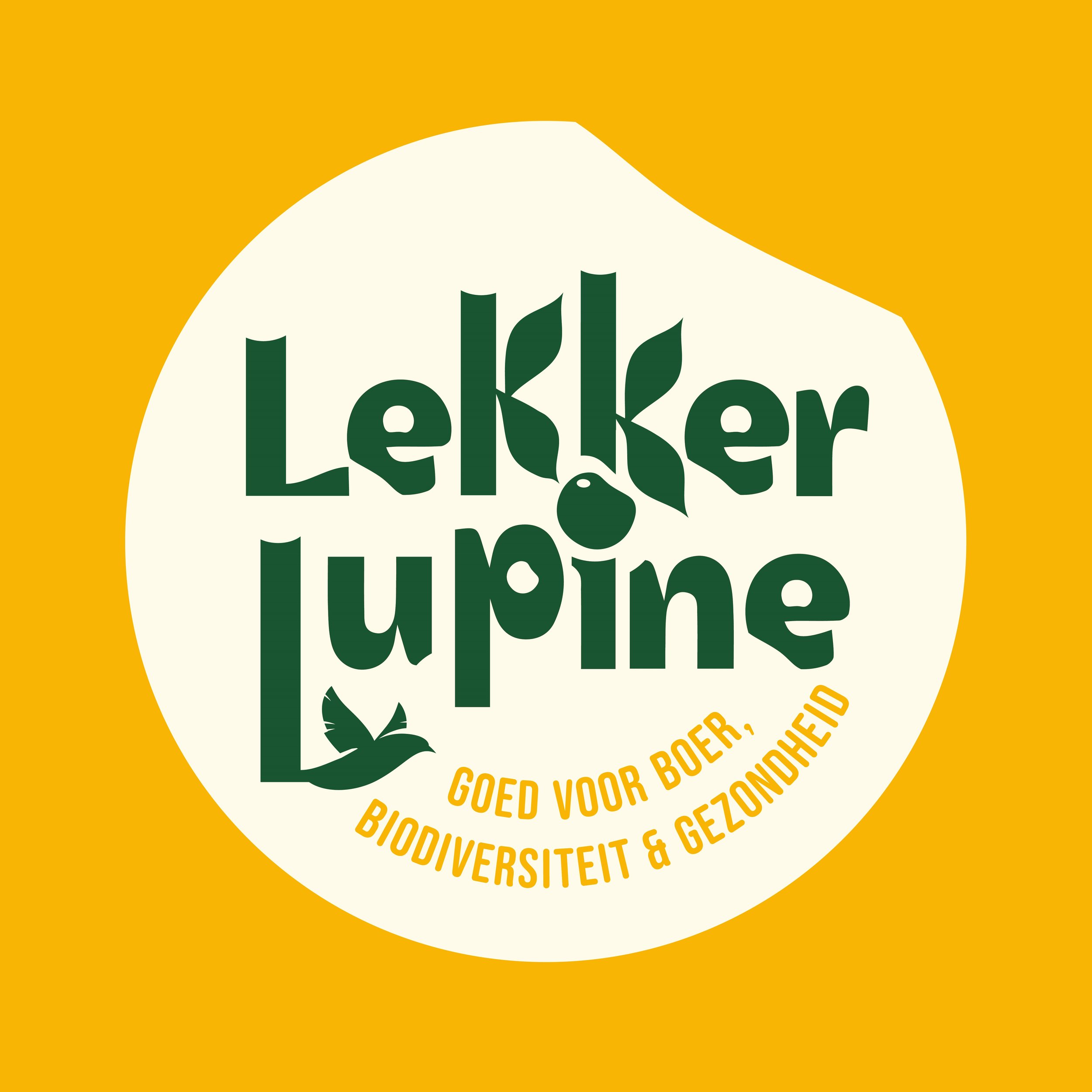 Lekker lupine